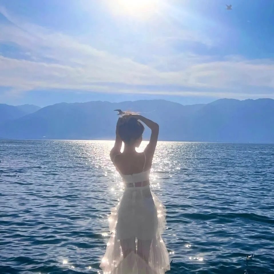 双龙一虎闯天关 海报